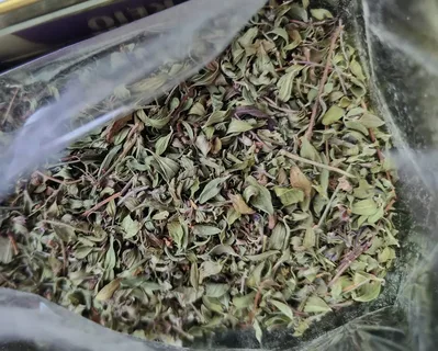 راهنمای خرید آویشن کیلویی + قیمت عالی